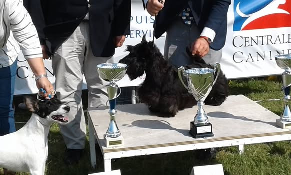 ONLY THE GUV'NOR GATERIN (Sans Affixe)